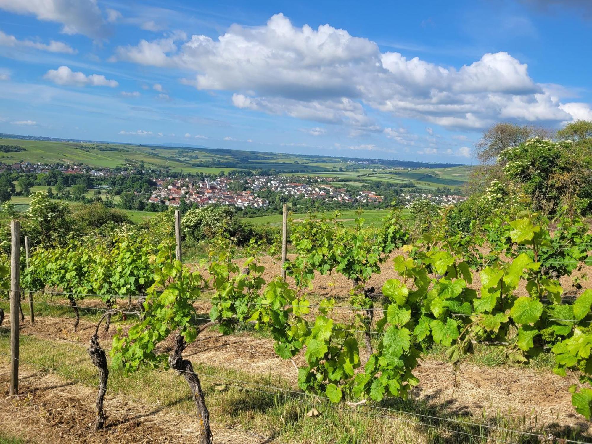 Das Hoefchen Stadecken Exteriér fotografie